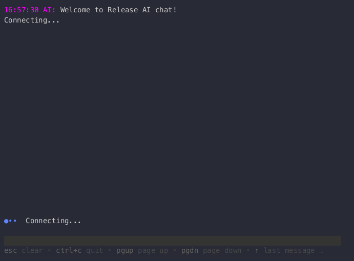 demonstration of Release environments